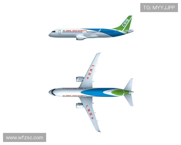 飞机机翼结构的参数化设计